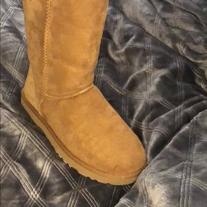 Chestnut Classic Tall Uggs